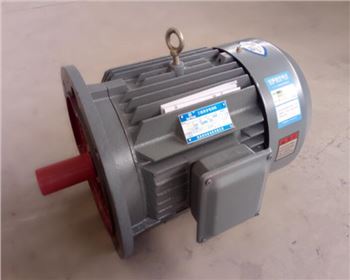 甘肅立式電機